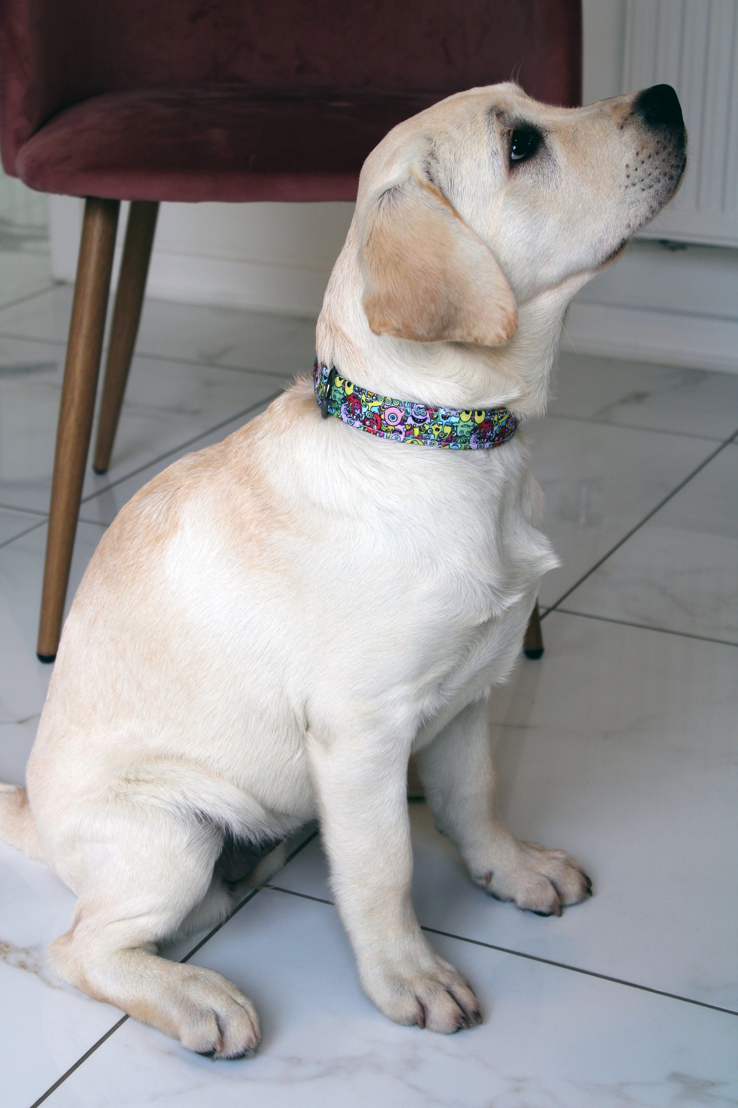 Little Monster Design Dog Collar