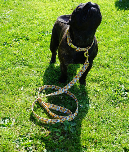 Sunflower Design Dog Collar