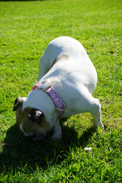 Summer Flowers Design Dog Collar