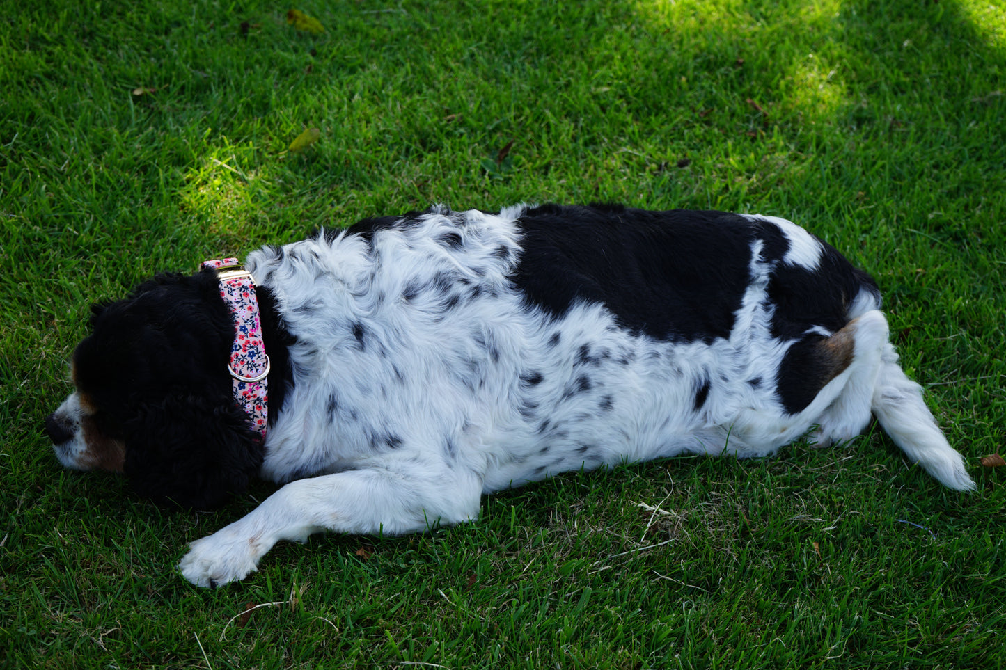 Japanese Flower Dog Collar