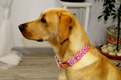 Pink Cherry Design Dog Collar