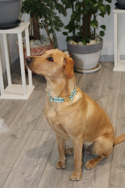 Tropical Flowers Design Dog Collar