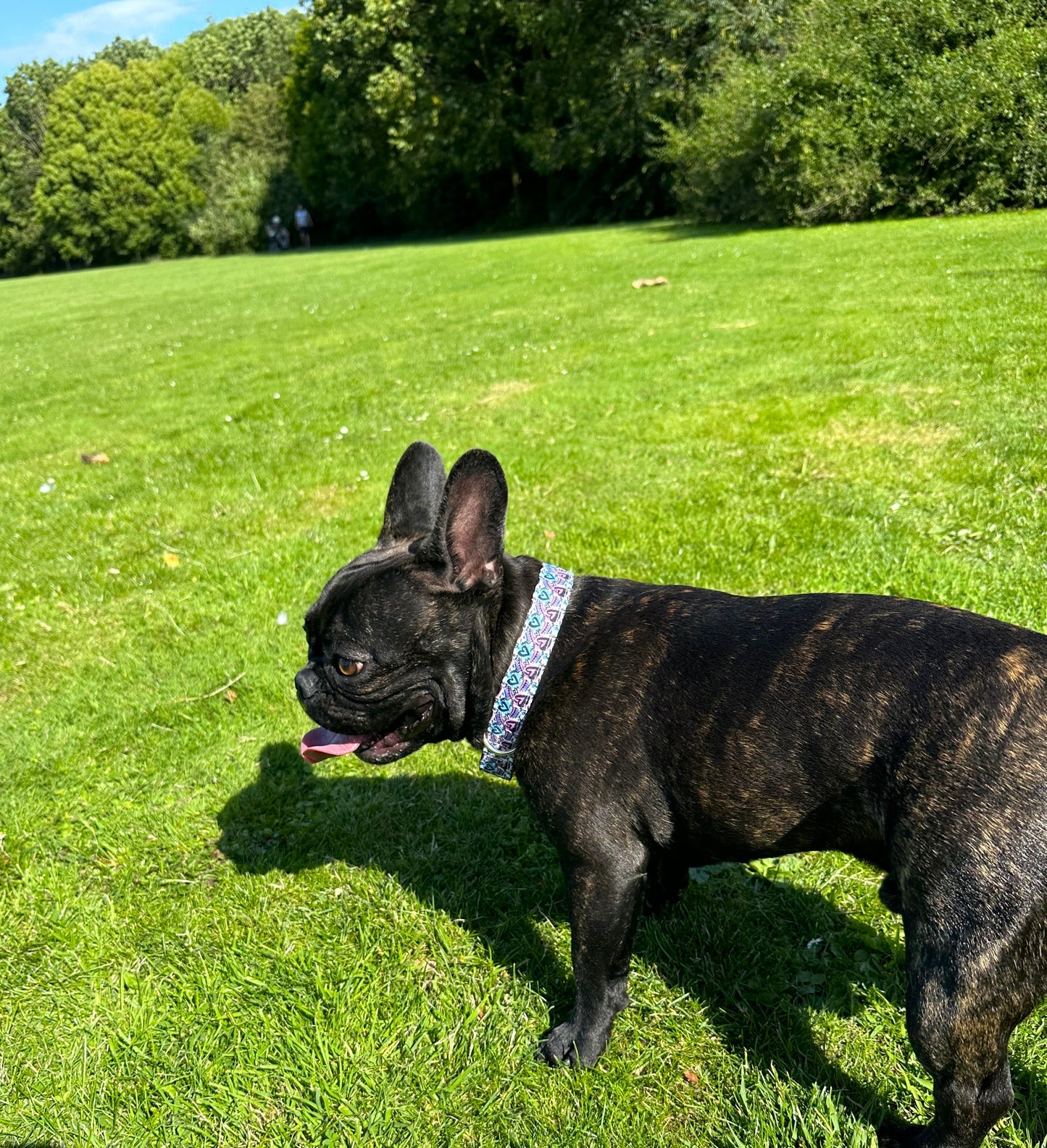 Love Heart Design Dog Collar