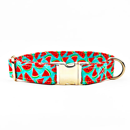 Watermelon Design Dog Collar
