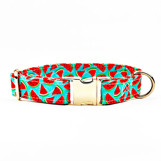 Watermelon Design Dog Collar
