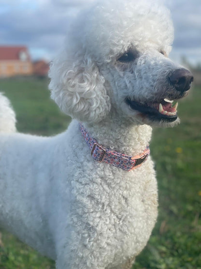 Summer Flowers Design Dog Collar